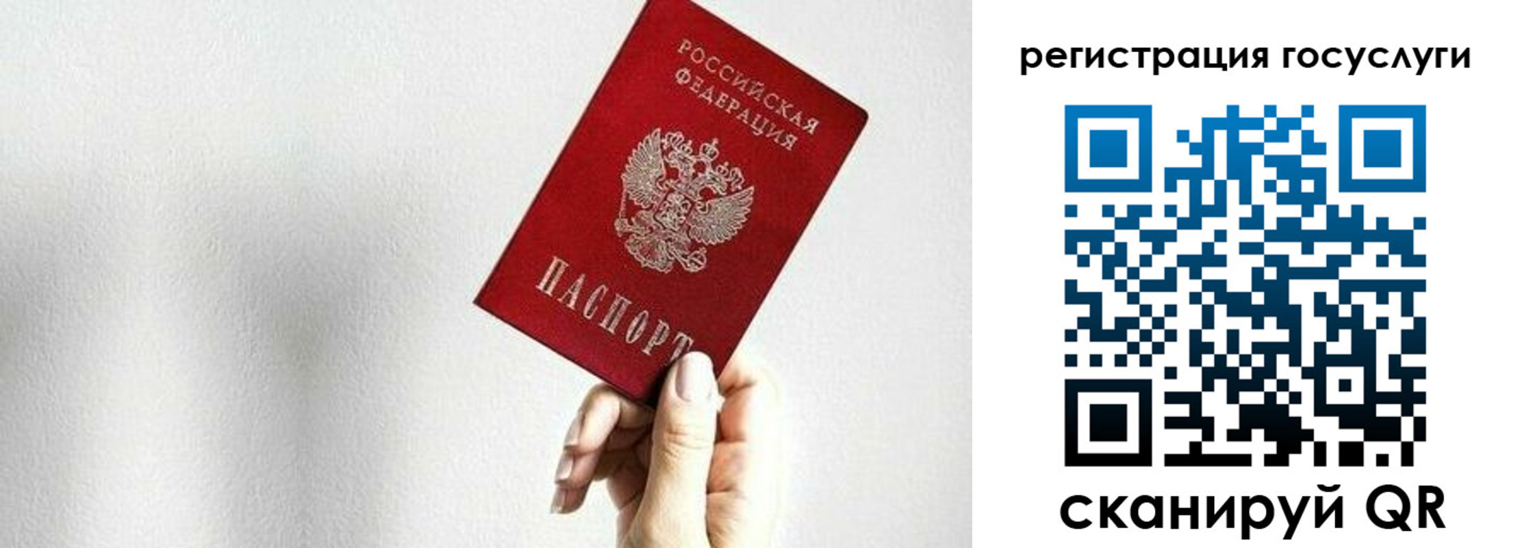 временная регистрация гарантия в Краснозаводске